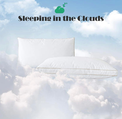 2 King Size Pillow with free 2 King Pillow Cases