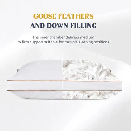 2 King Size Pillow with free 2 King Pillow Cases